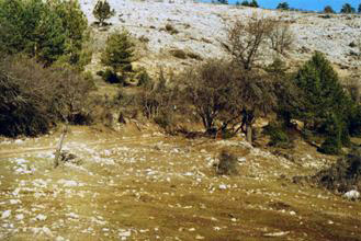 Restos de la casa del tío Corzo, Sierra de Cuenca, (Foto de Manuel Martínez).