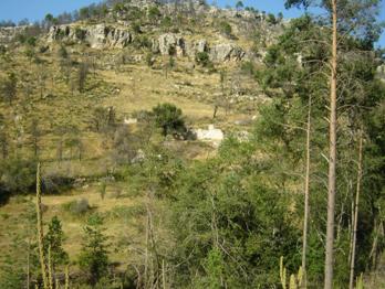 Rincón de Cavero, Huerta de Marojales (Foto de Salvador F. Cava).