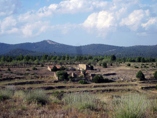 Fotos de Antonio Alpuente