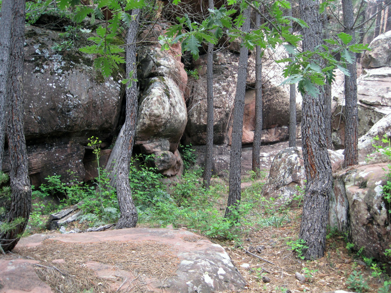 Campamento de “Grande” en los Montes Universales.